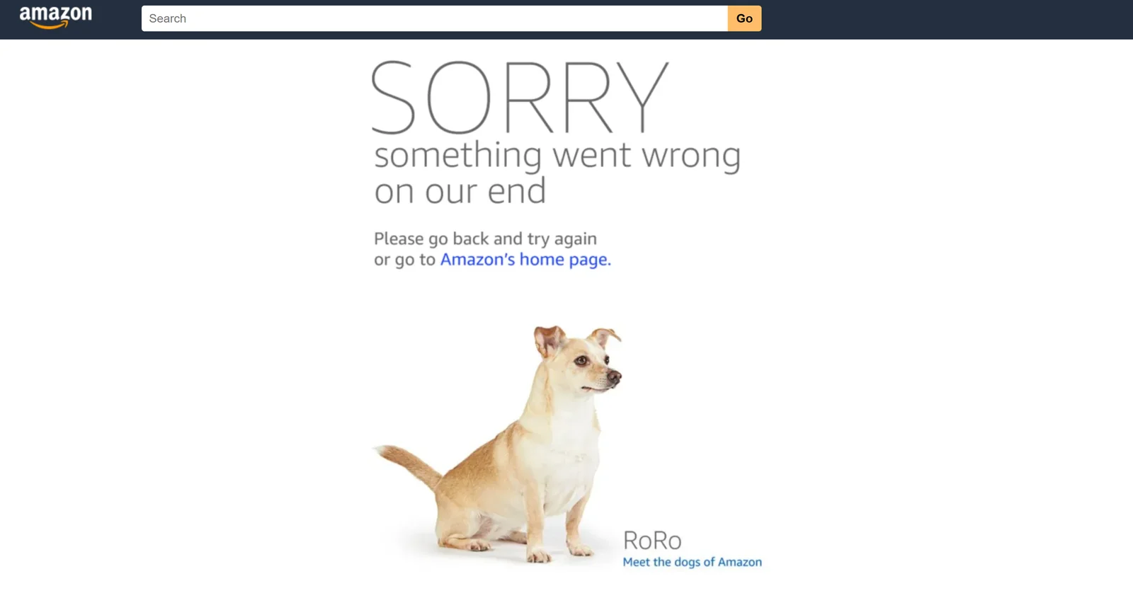 Example of an Amazon 503 error page
