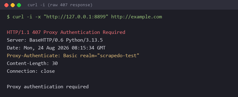 Raw HTTP 407 response showing the Proxy-Authenticate challenge header