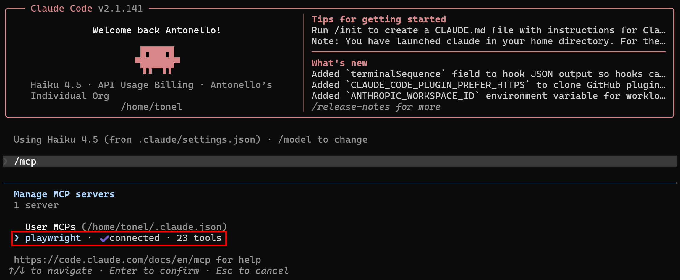 Note the “playwright” MCP server entry in the list of  MCP servers