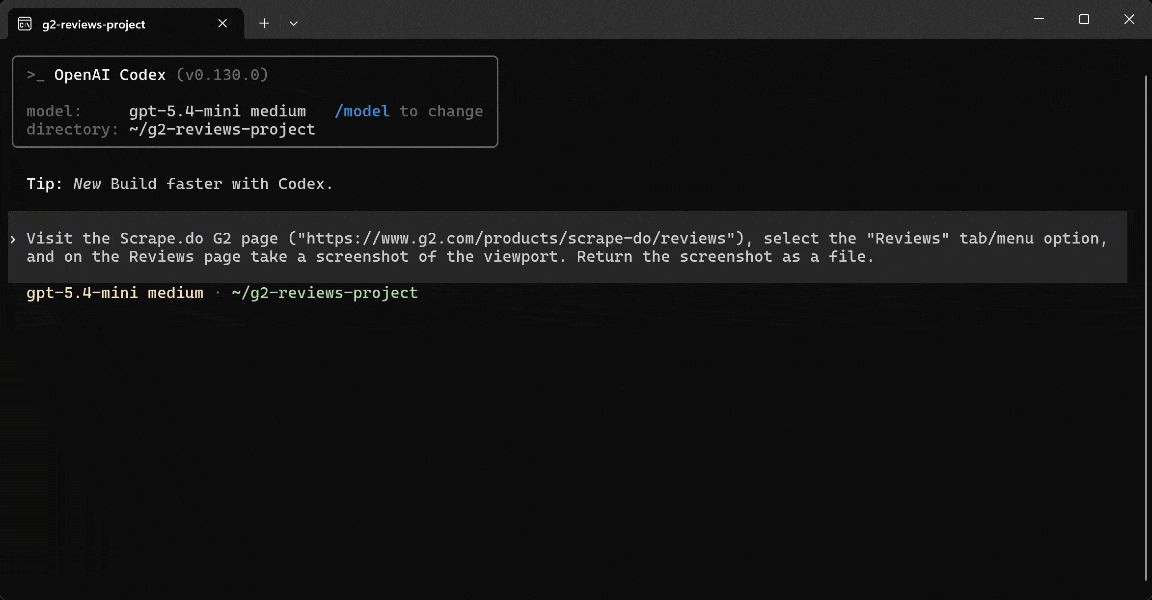 Prompt execution in Codex