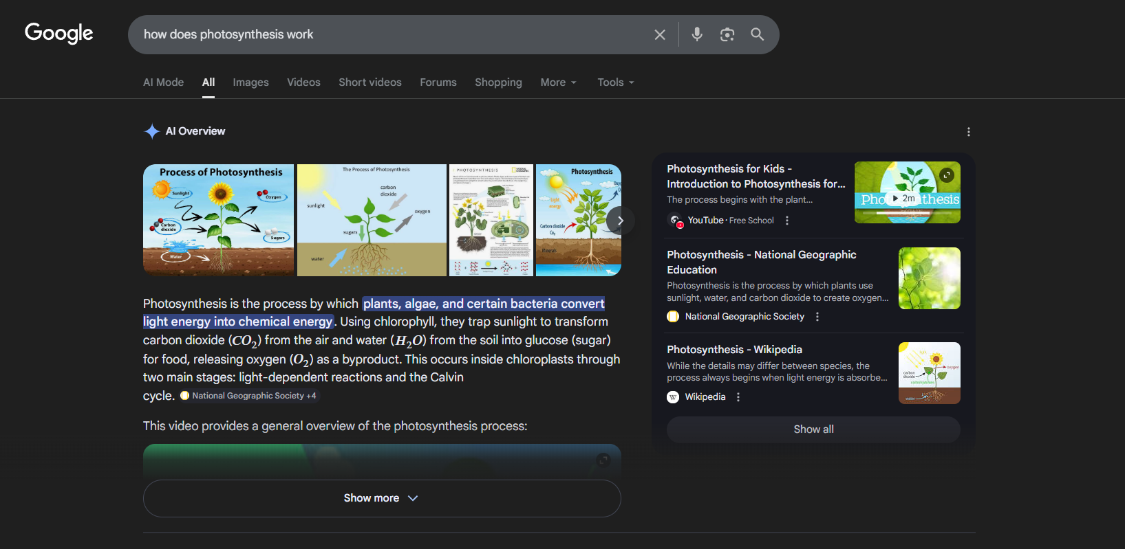 Google SERP showing a fully rendered AI Overview for "how does photosynthesis work"