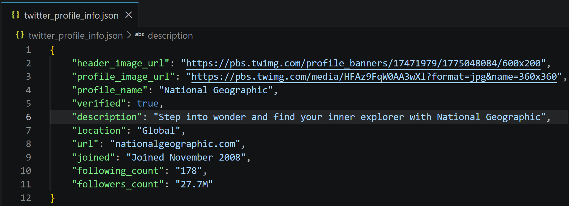The “twitter_profile_info.json” output file