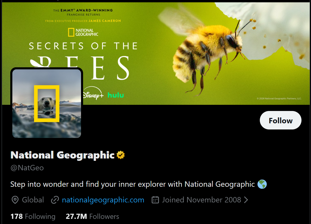 The top section of a Twitter/X profile page