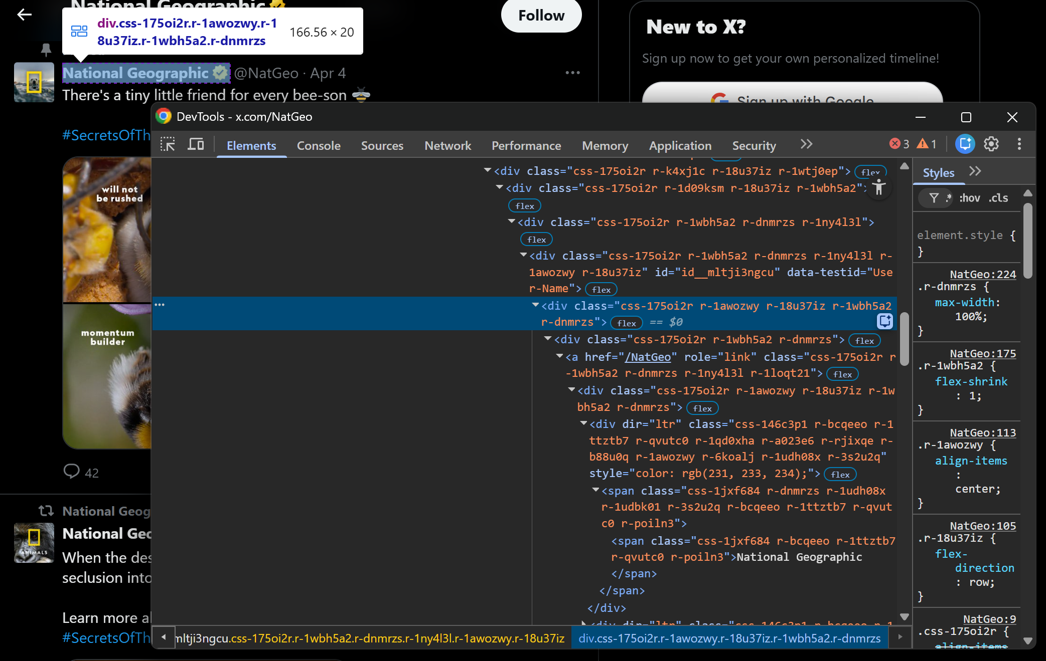Inspecting the Tweet’s author profile name element