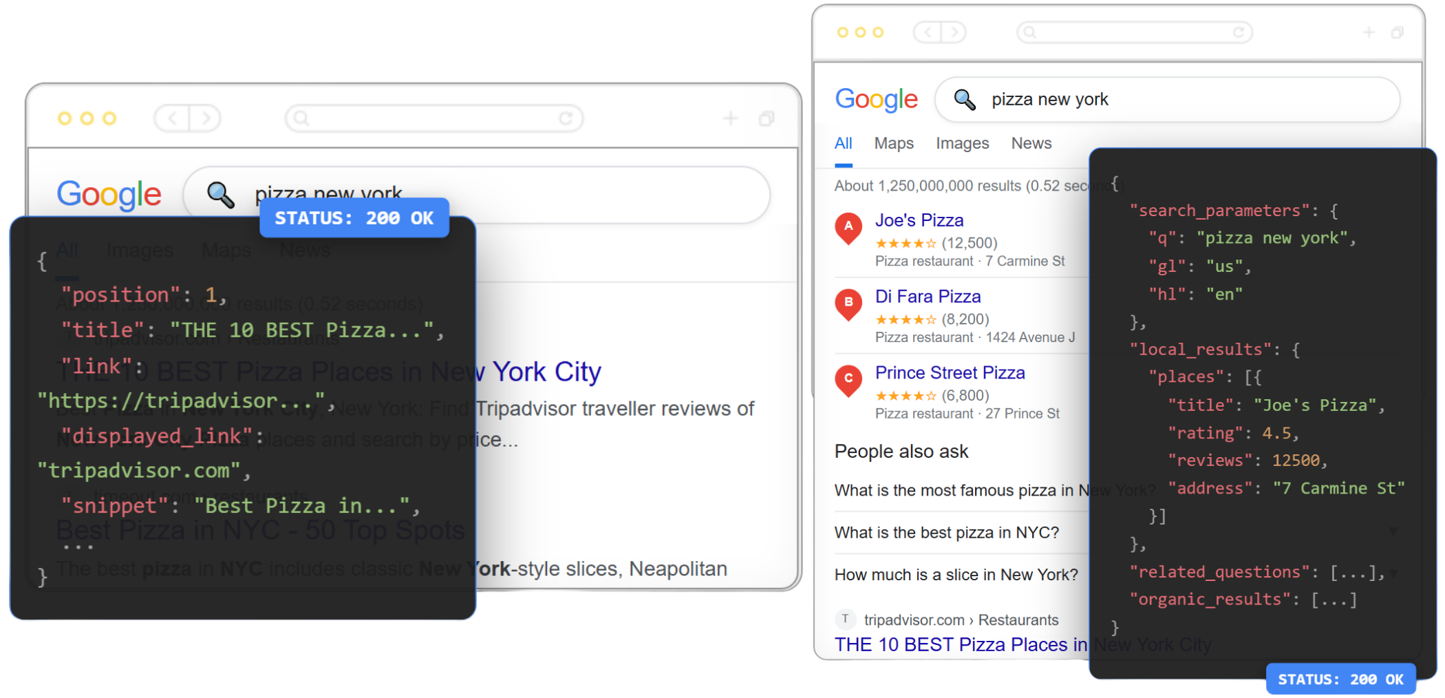 Google Search Scraper API